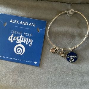 Destiny bracelet from Alex and Ani.